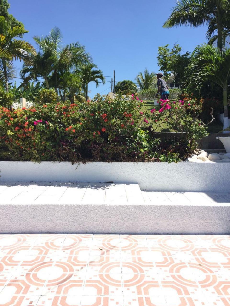 Goldenview Guesthouse Ocho Rios Luaran gambar