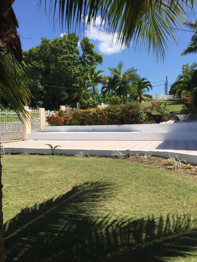 Goldenview Guesthouse Ocho Rios Luaran gambar